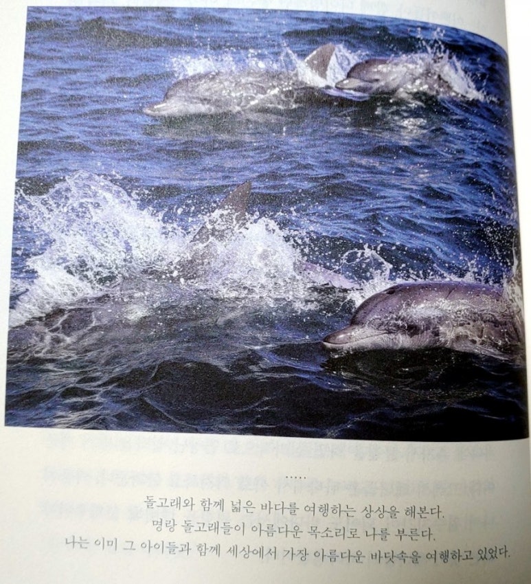 명랑해녀 이미지