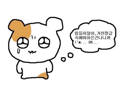 백라이프 이미지