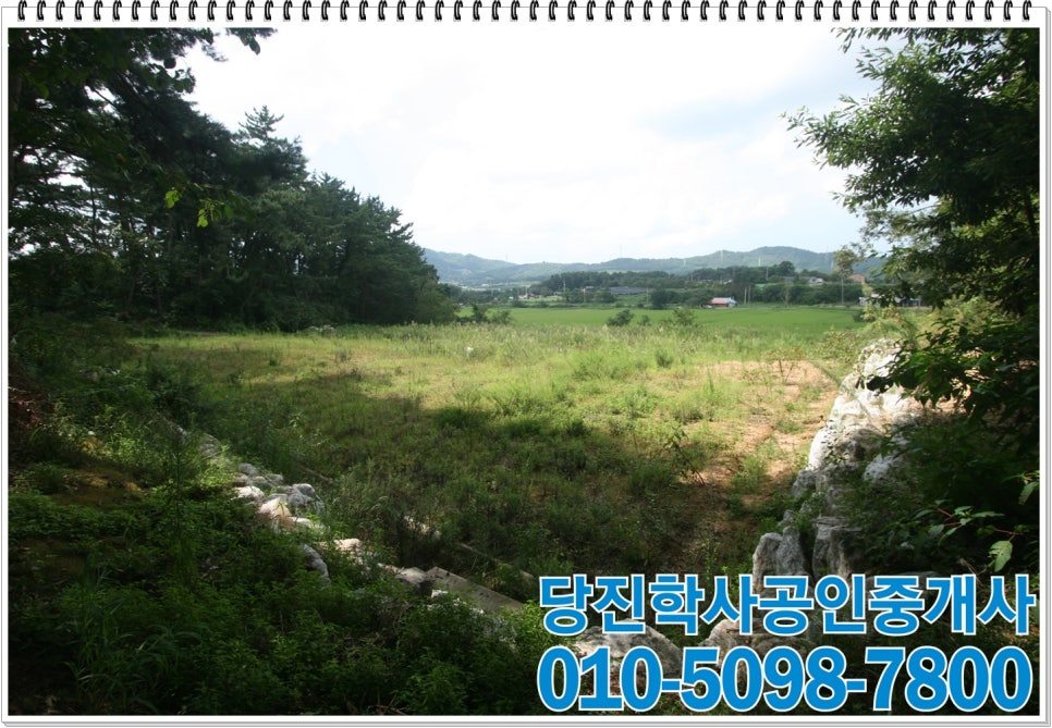 정미농협주유소 이미지