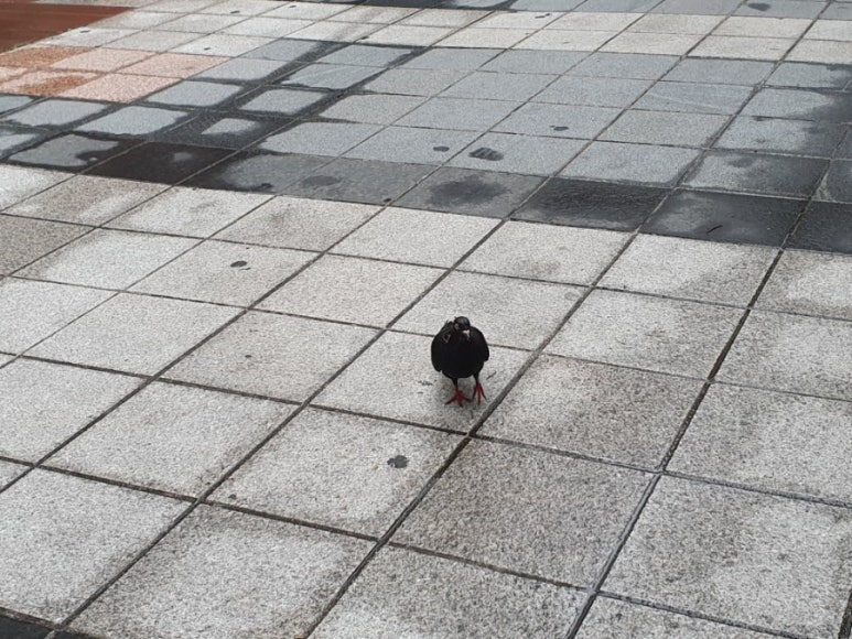 홍당무컴퍼니 이미지