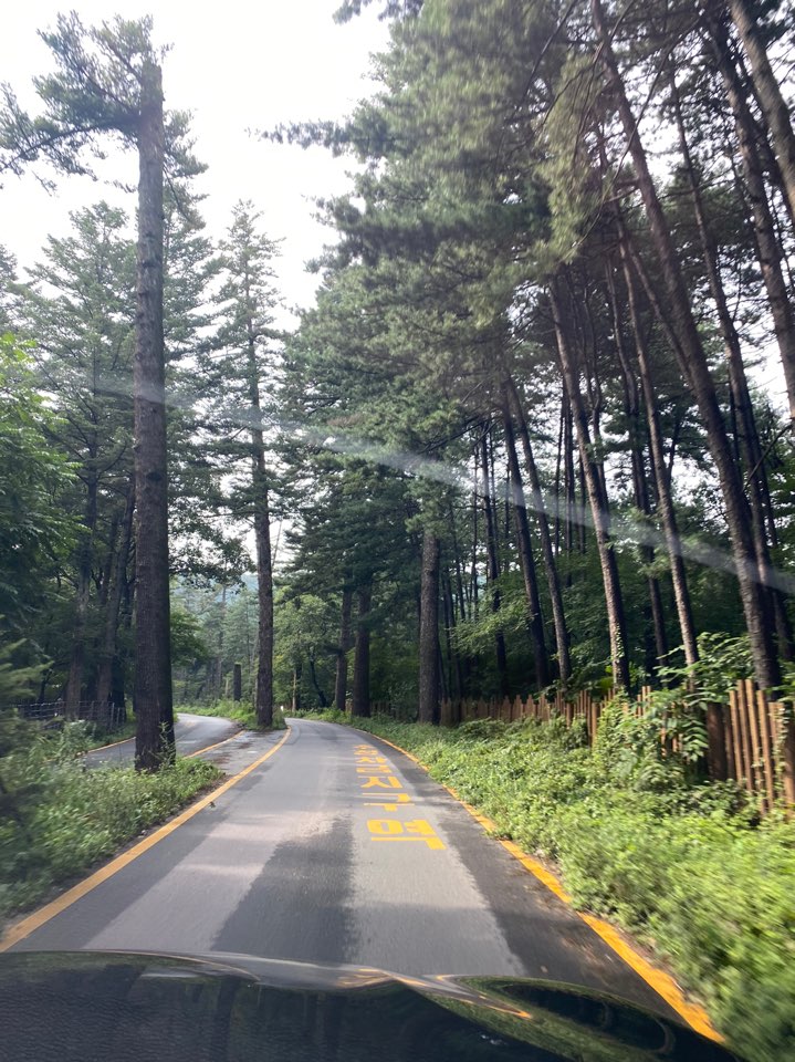 연지곤지팜캠핑장 이미지