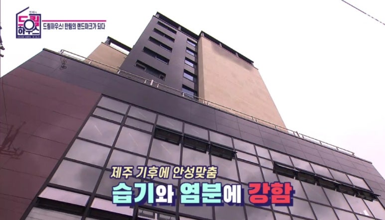 스테이가량 이미지