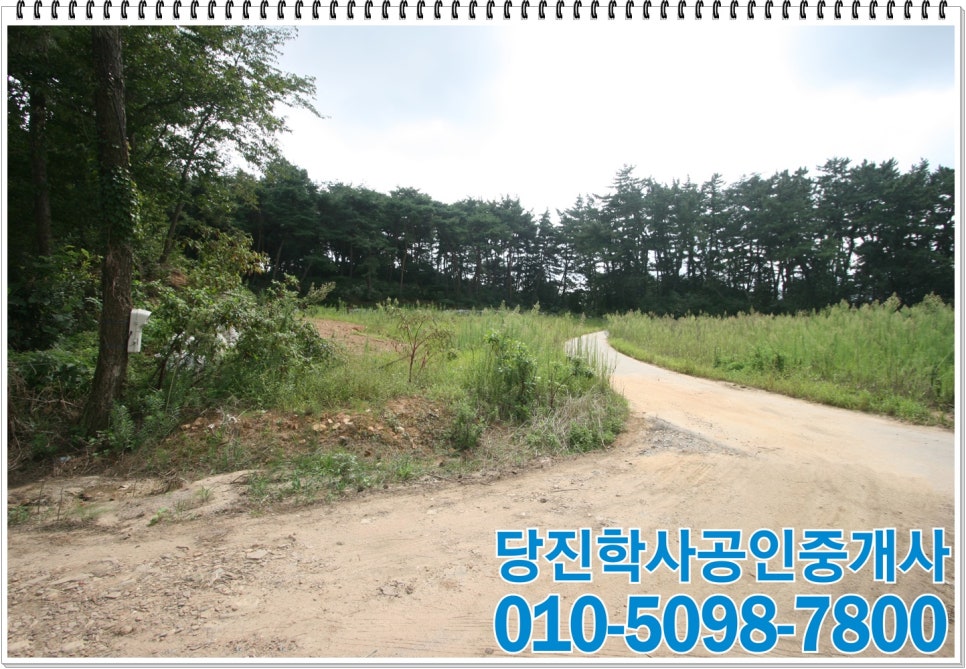 정미농협주유소 이미지