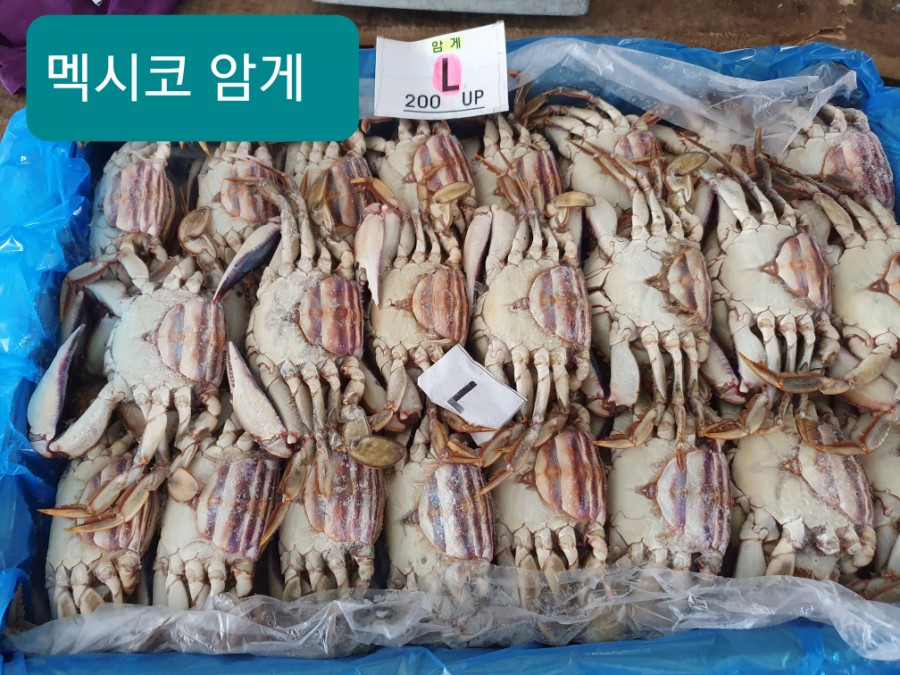 (주)명문교역 이미지