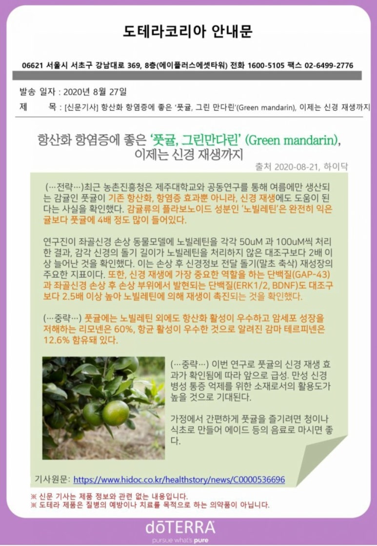 만다린 이미지