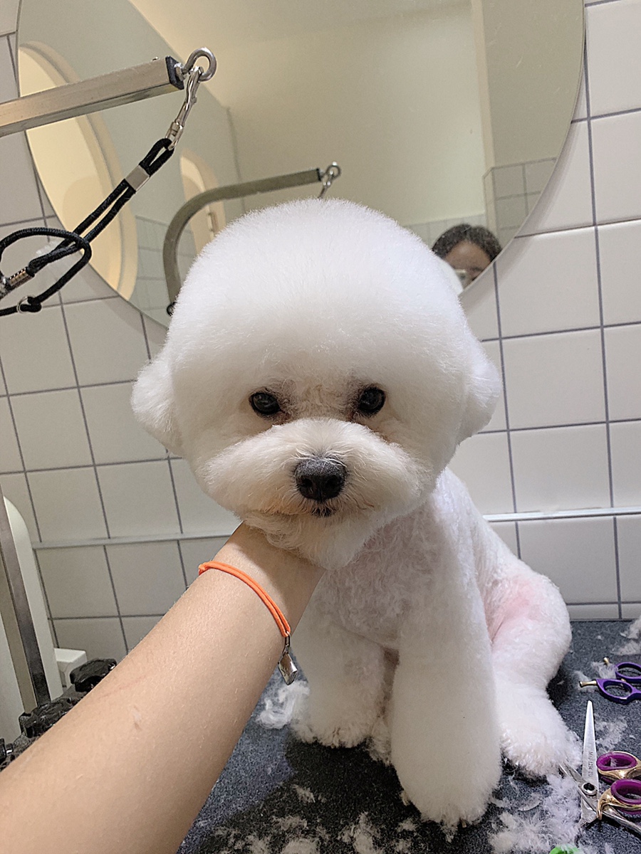 위드스테이부산 이미지