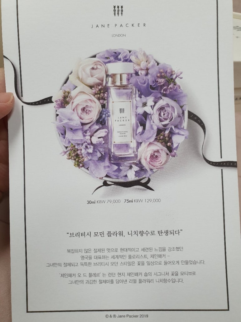 위자드오브오즈 이미지