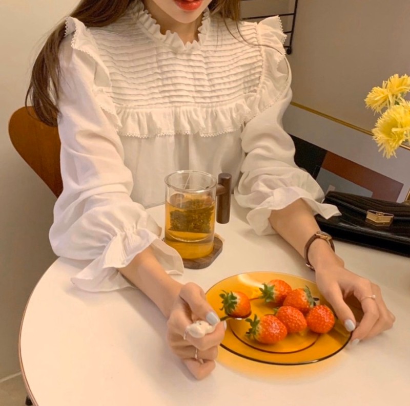 피그니트 이미지