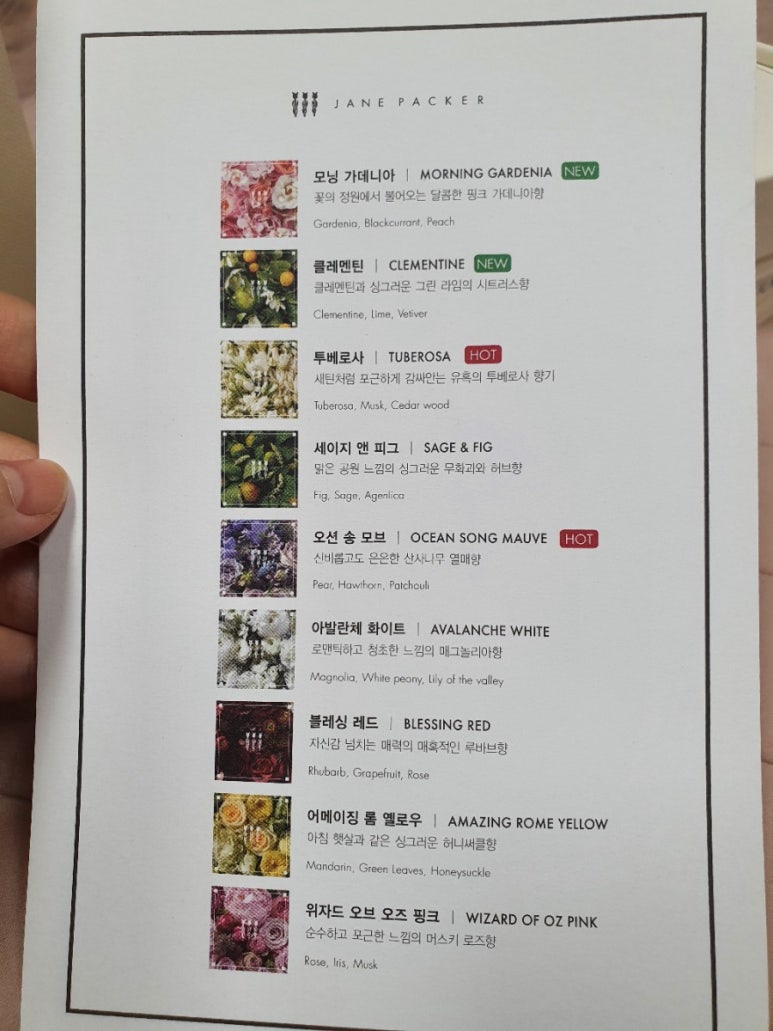 위자드오브오즈 이미지