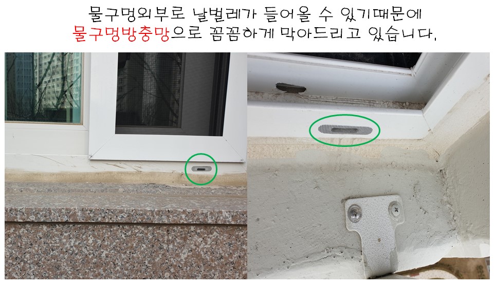 에스엔안 이미지