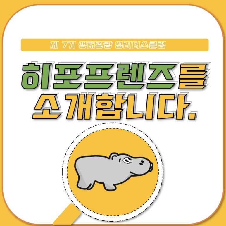 히포 이미지