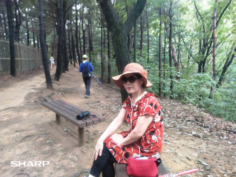 구룡산 정상 이미지