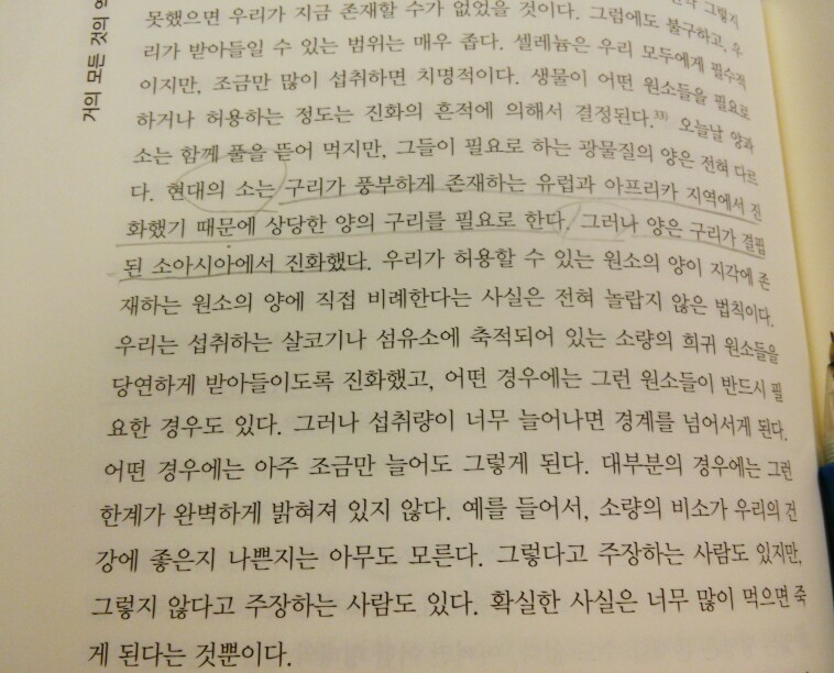 소와양 이미지