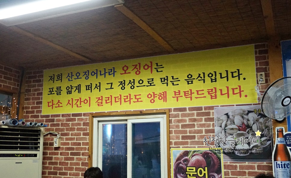 산오징어나라 이미지