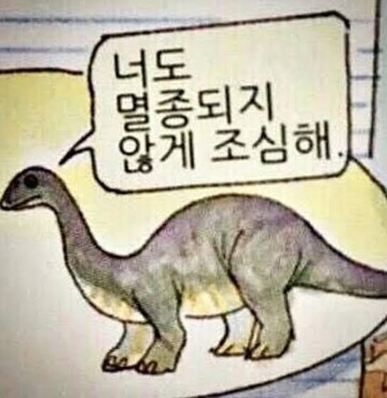 요나요나 이미지