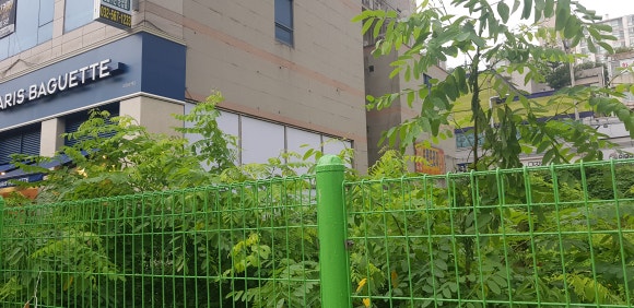 파리바게뜨인천 이미지