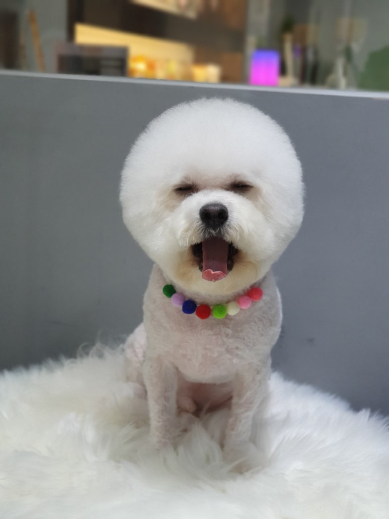 살롱3039 이미지
