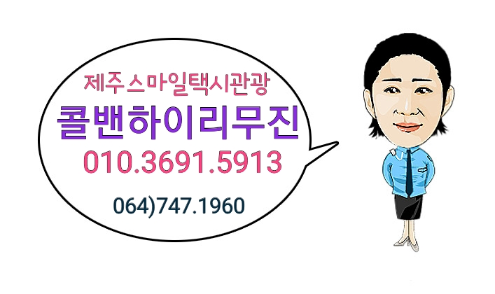 제주스마일택시관광 이미지