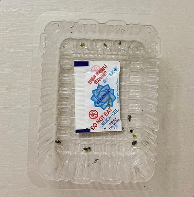 김*진3 이미지