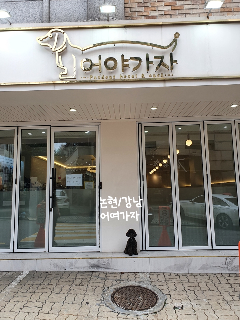 어야가자 이미지