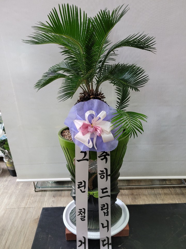 리플라워 이미지