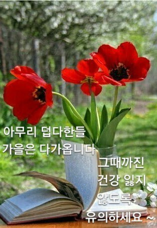 멋진하루 이미지