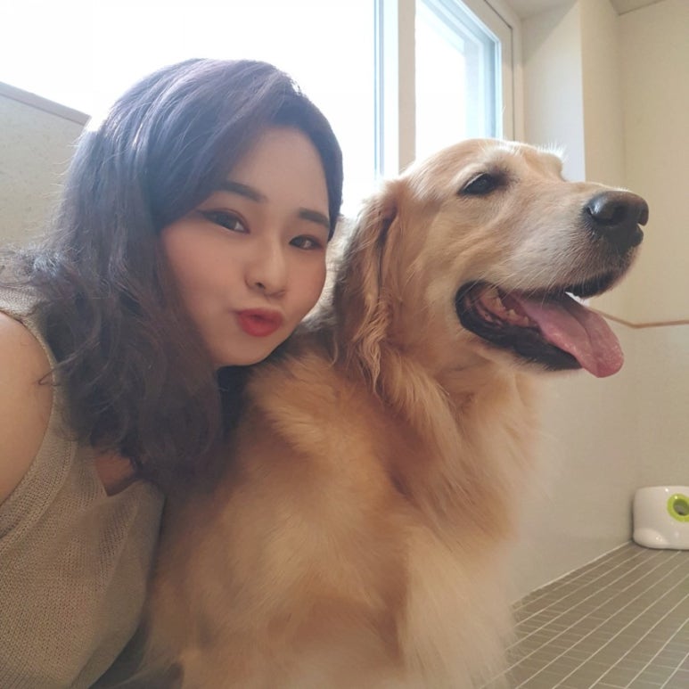 엔터테인멍트 이미지