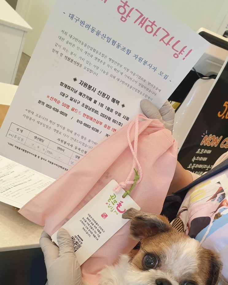 함개하자냥 이미지