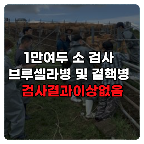 청정우리소 이미지