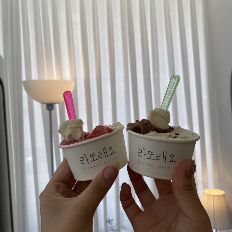 설악산아로니아 이미지