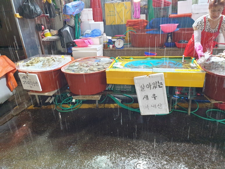 순복대하 이미지