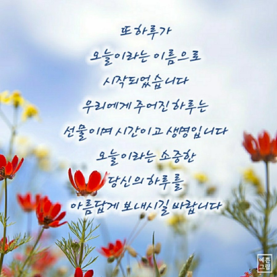 블루마케팅 이미지