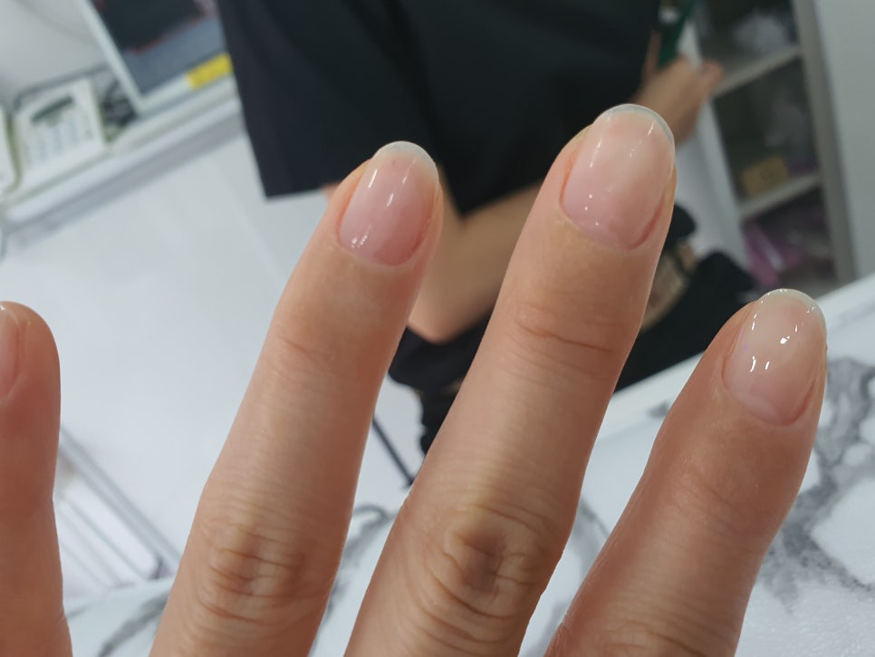 네일테일 이미지