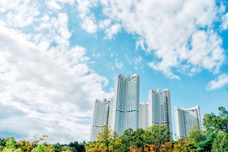 황소익스프레스(주) 이미지