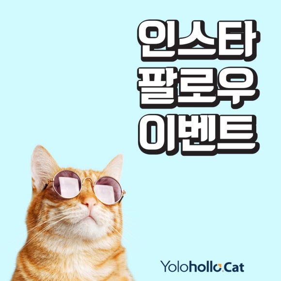 욜로홀로(yolohollo) 이미지