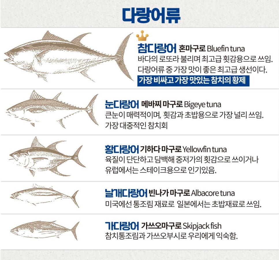 필참치 이미지