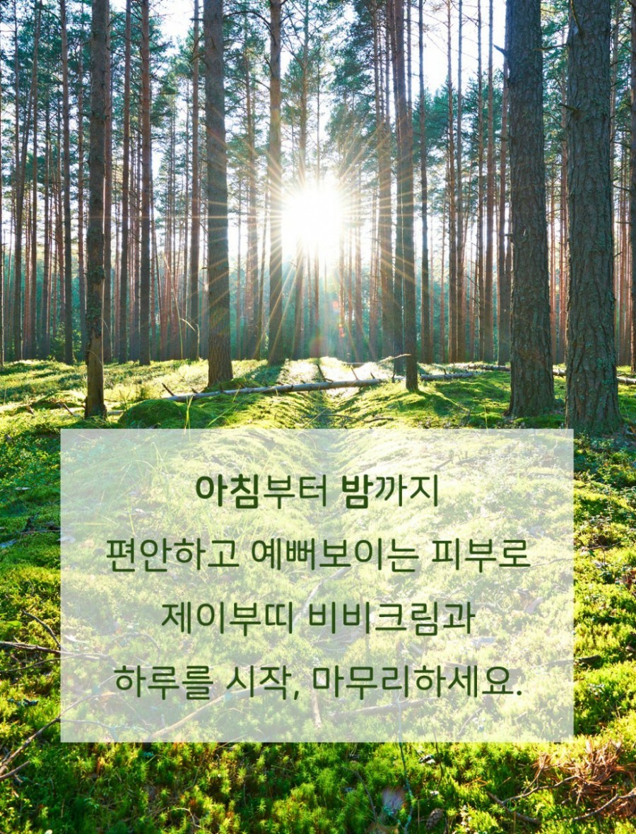 제이부띠 이미지
