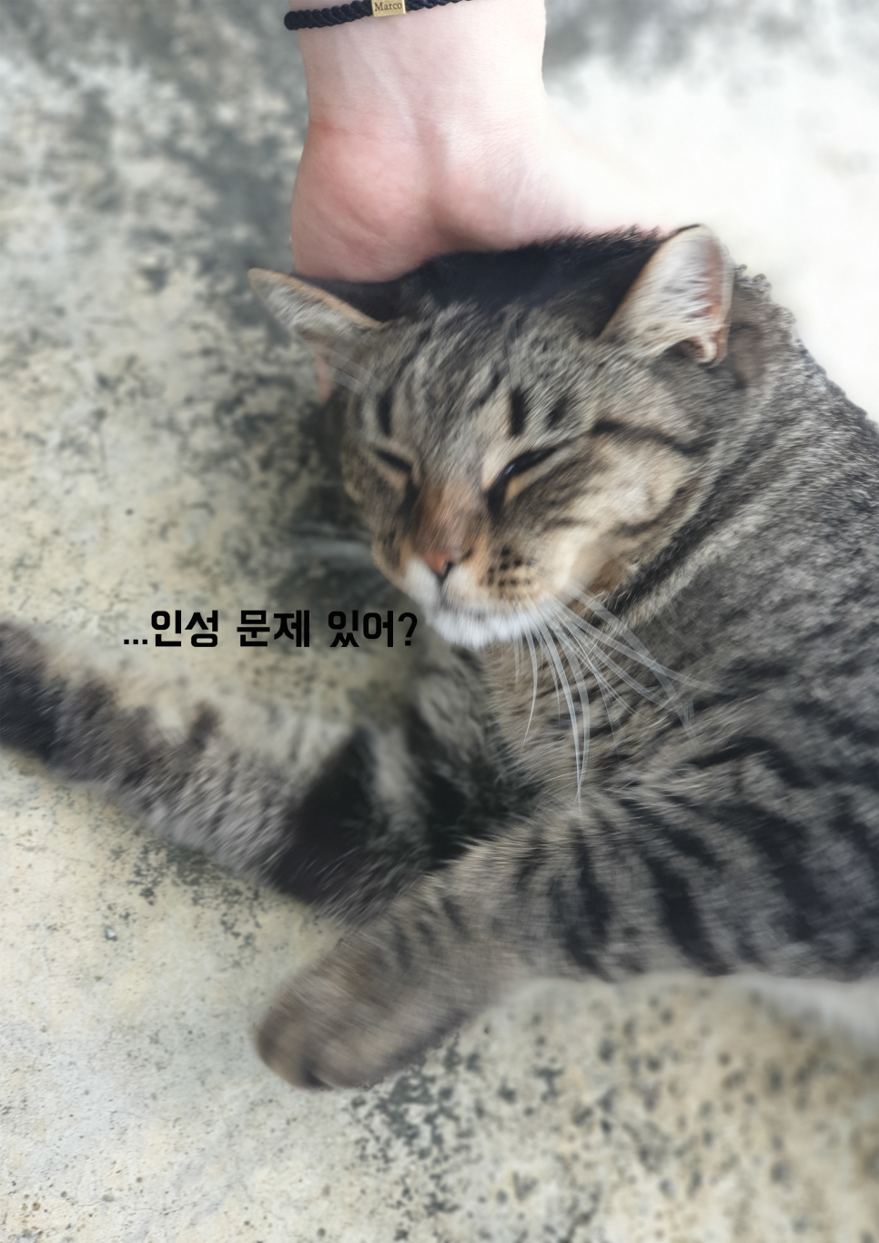 레뮤제 이미지