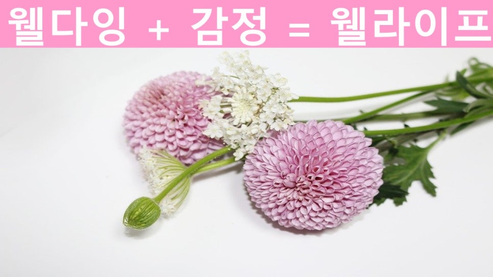 웰라이프코칭연구소 이미지