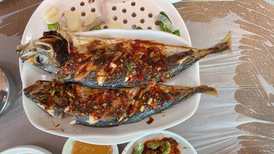 통영요트 이미지
