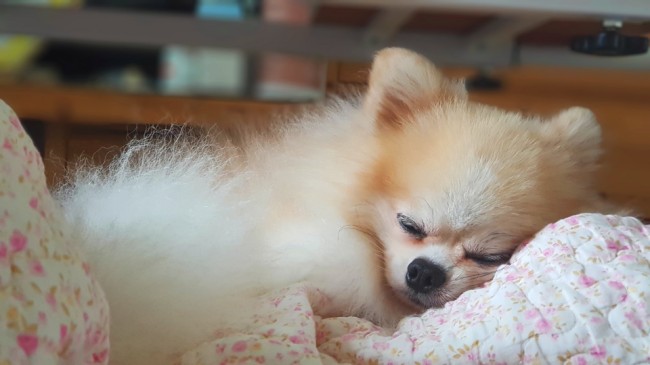 잘자 이미지