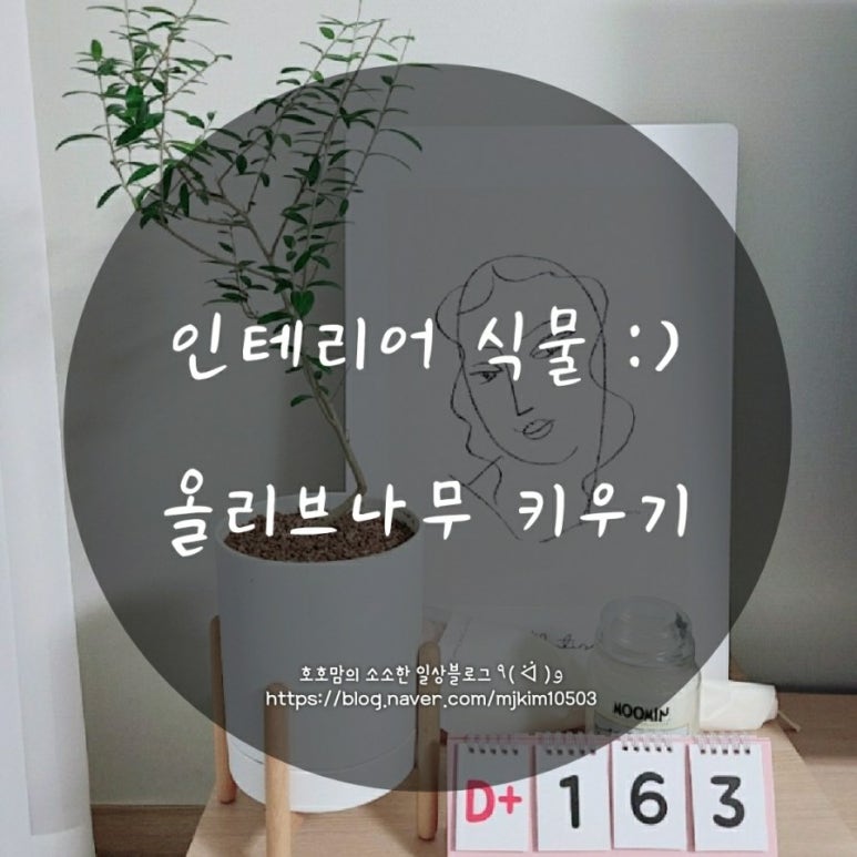 예뜨락화원 이미지