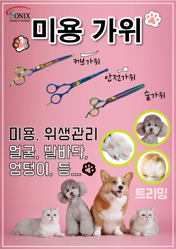 가위왕국 이미지
