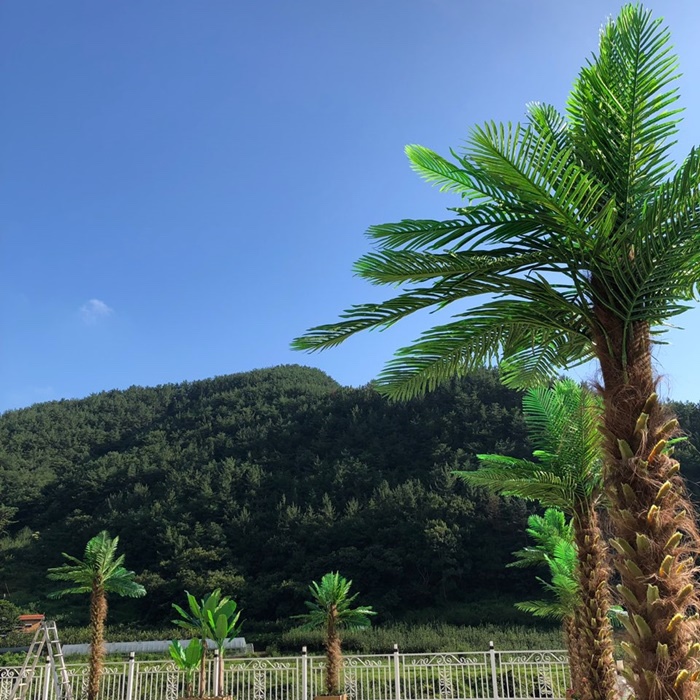 진주1987 이미지