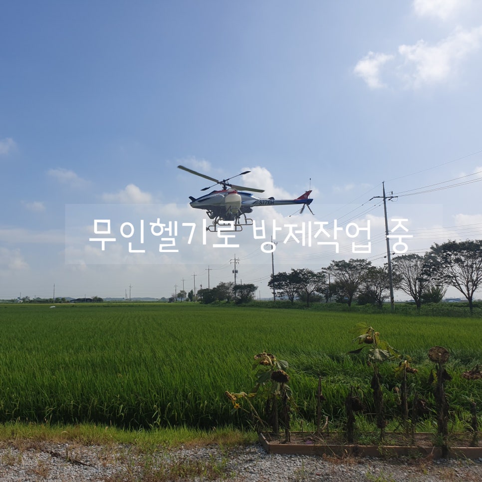 마실길 걷는 달팽이 농장 이미지
