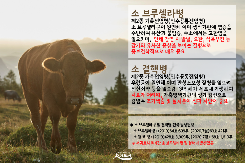 청정우리소 이미지