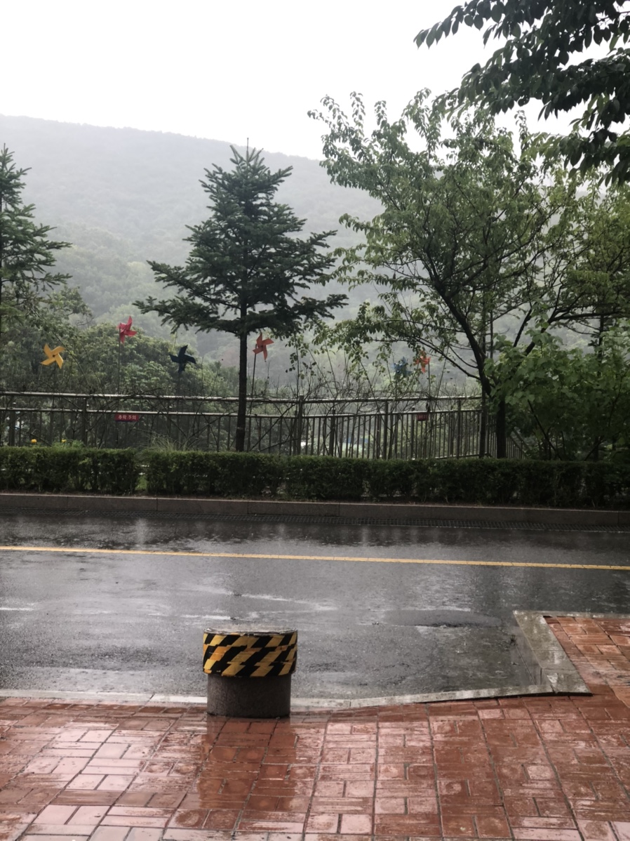 분당용인운전면허 이미지