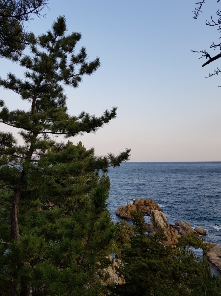 한국장례서비스협동조합 이미지