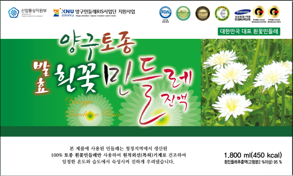 양구토종민들레영농조합 이미지