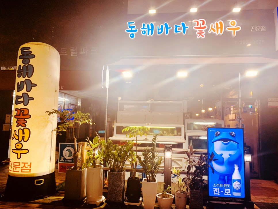동해바다꽃새우 이미지
